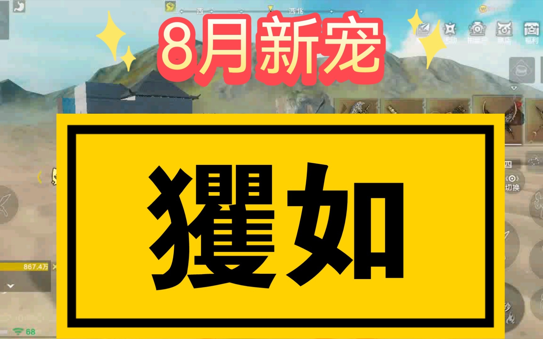 8月新宠个人猜测玃如!哔哩哔哩bilibili