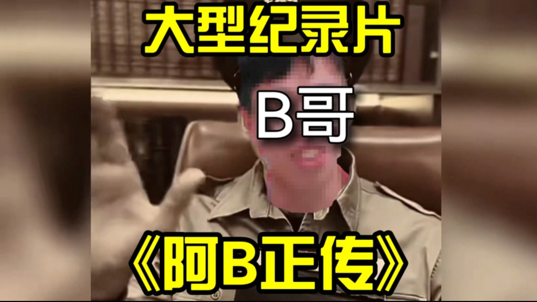 大型纪录片《阿B正传》哔哩哔哩bilibili