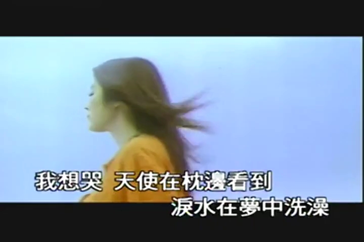 薰衣草-陈慧琳