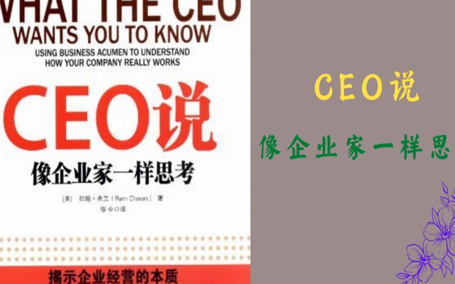 解读书籍《CEO说》哔哩哔哩bilibili