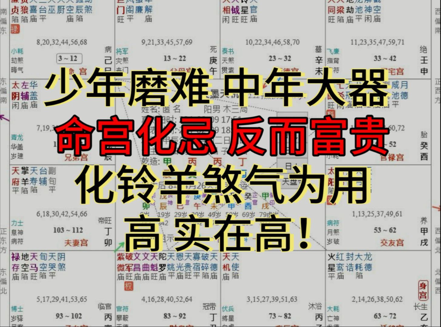 紫微案例: 化煞用煞 财权皆得 商业金融的奇才,英雄辈出呐~【紫微实例批盘】【化煞为权】【天同太阴】哔哩哔哩bilibili