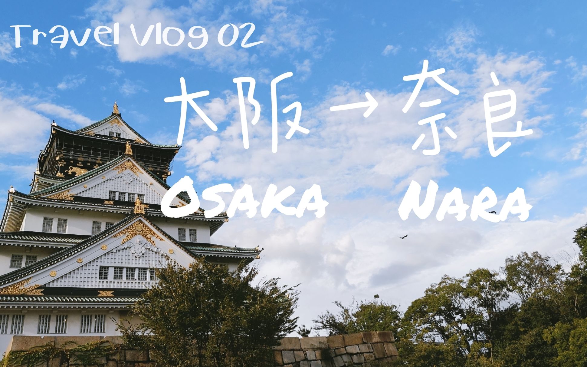旅游vlog02‖osaka大阪 | nara奈良 | 大雨与鹿_哔哩哔哩 (゜-゜)つロ