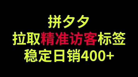 拼多多拉取精准访客标签稳定日销400+哔哩哔哩bilibili