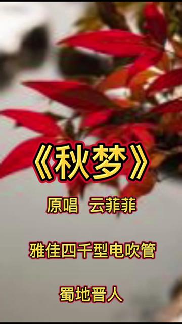 《秋梦》原唱云菲菲