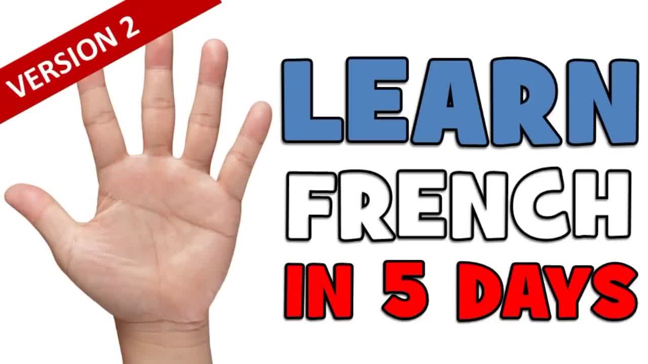 『法语学习』【基础】5天内学会法语 LEARN FRENCH WITH VINCENT哔哩哔哩bilibili