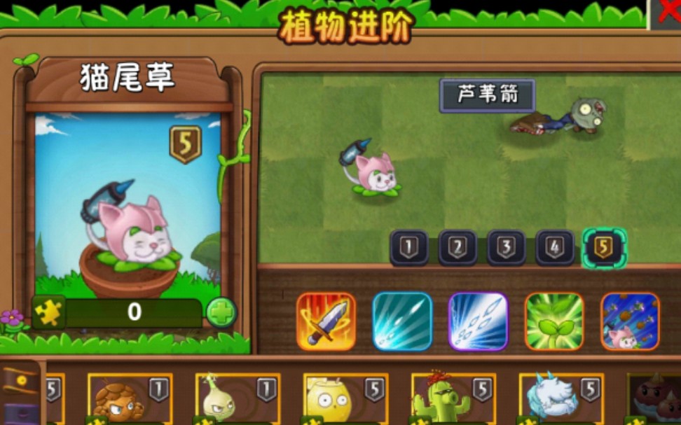植物大战僵尸2猫尾草值得升五阶吗