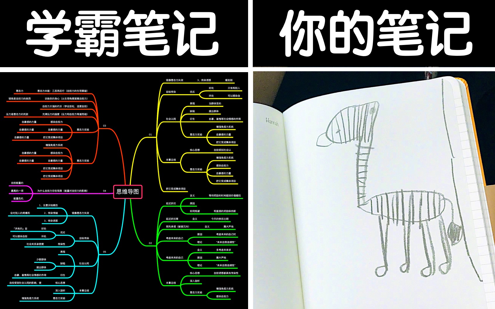 [图]读书笔记如何做？分享快速阅读的核心理念