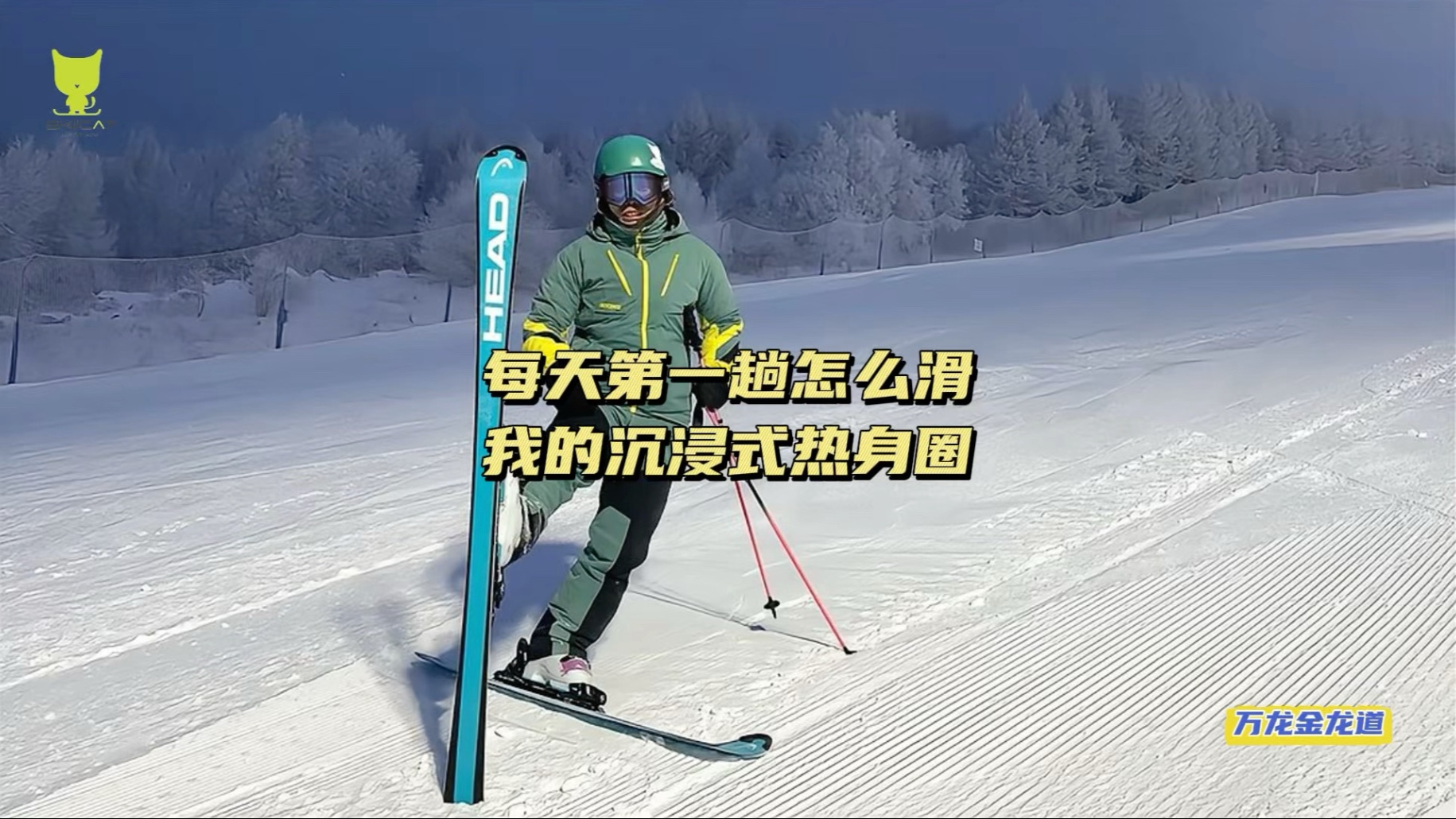 【双板全品牌横评】高手们爱用的FIS SL,该选哪一款?-夜舞哒-滑雪-哔哩哔哩视频