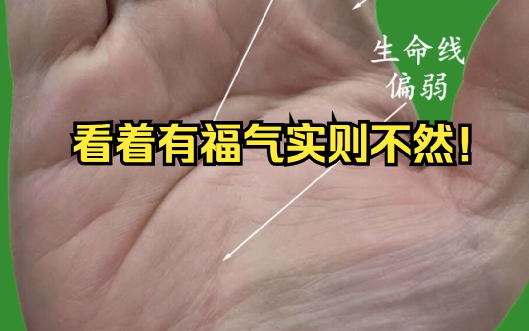 看着有福气实则不然!哔哩哔哩bilibili