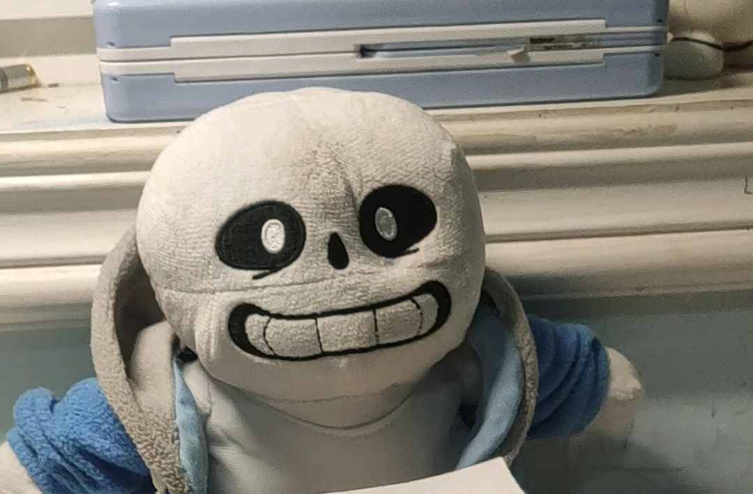 我与sans的日常-前传