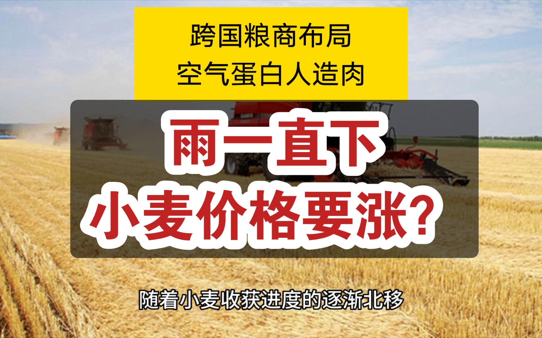 雨水不断优质小麦迎来机会,需求低迷玉米遭遇廉价小麦冲击;跨国粮商布局空气蛋白市场,黑海谷物出口出现变数哔哩哔哩bilibili