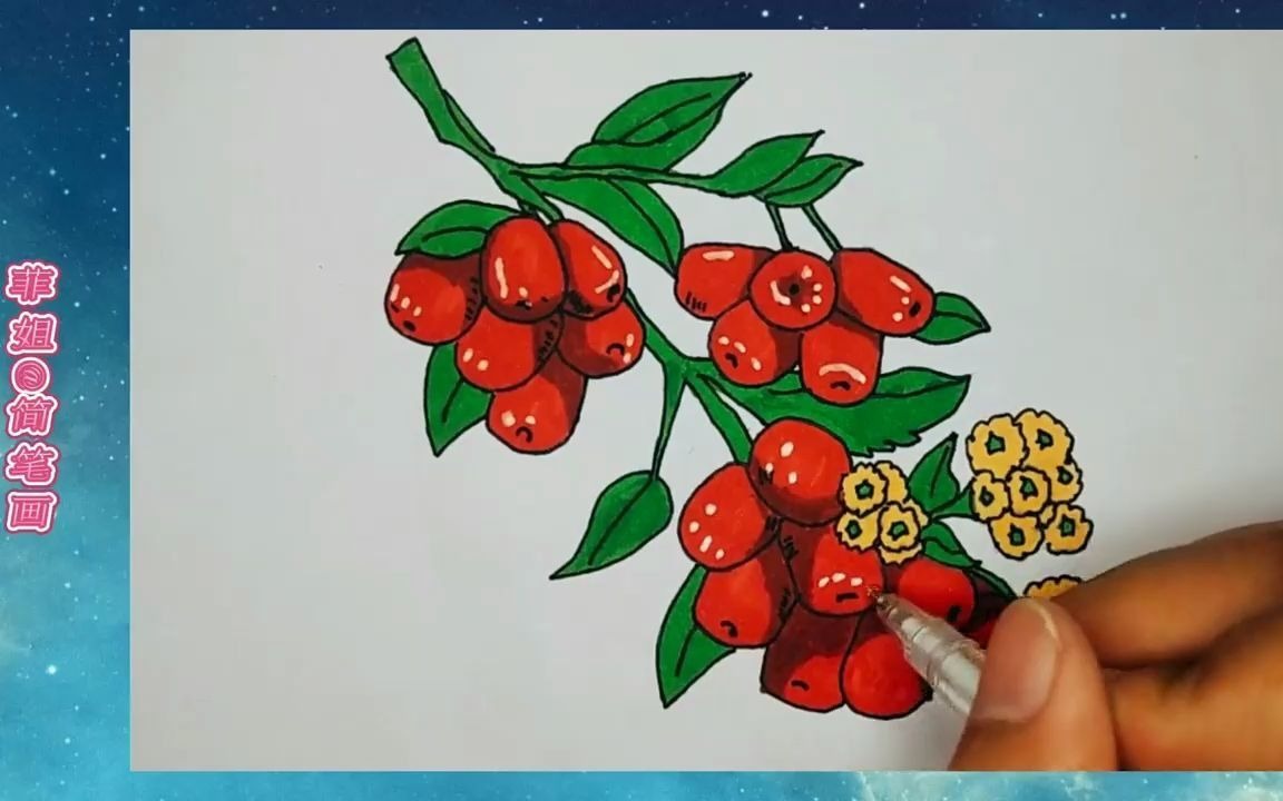大红枣怎么画简笔画图片