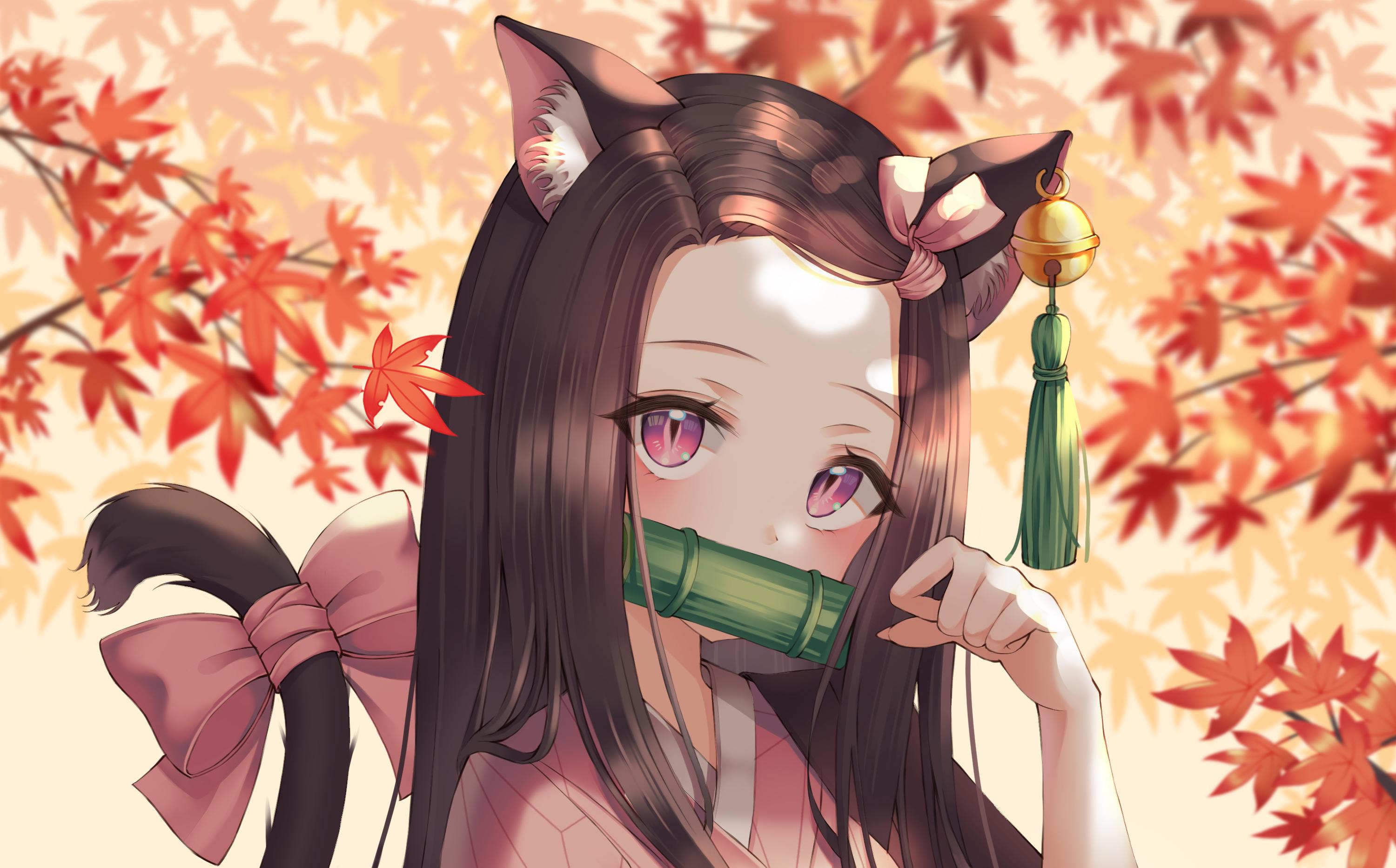 活动  【鬼灭游郭篇】这么可爱的祢豆子你见过吗?