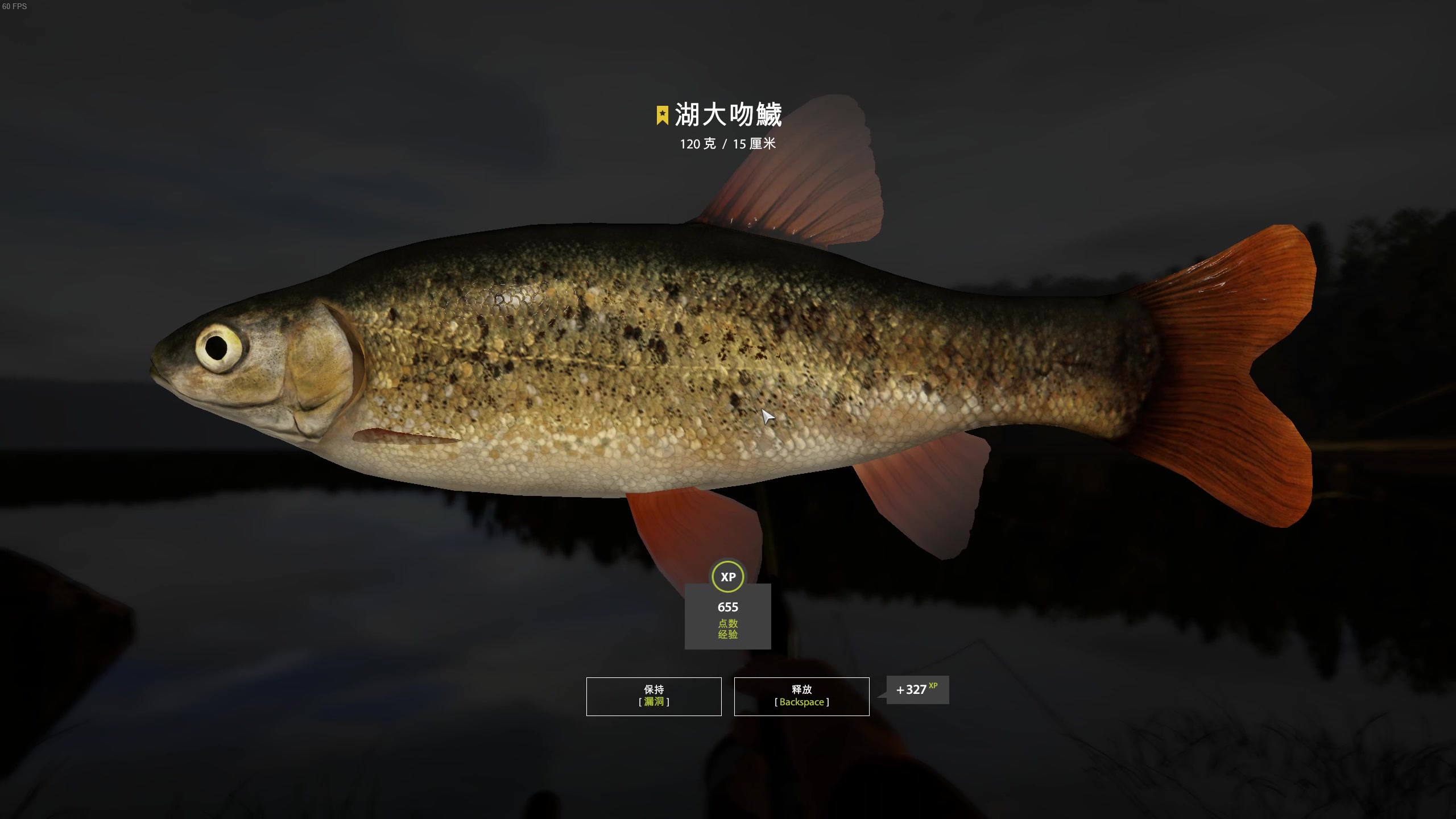 【俄罗斯钓鱼4】当你能够看到鱼咬钩的时候