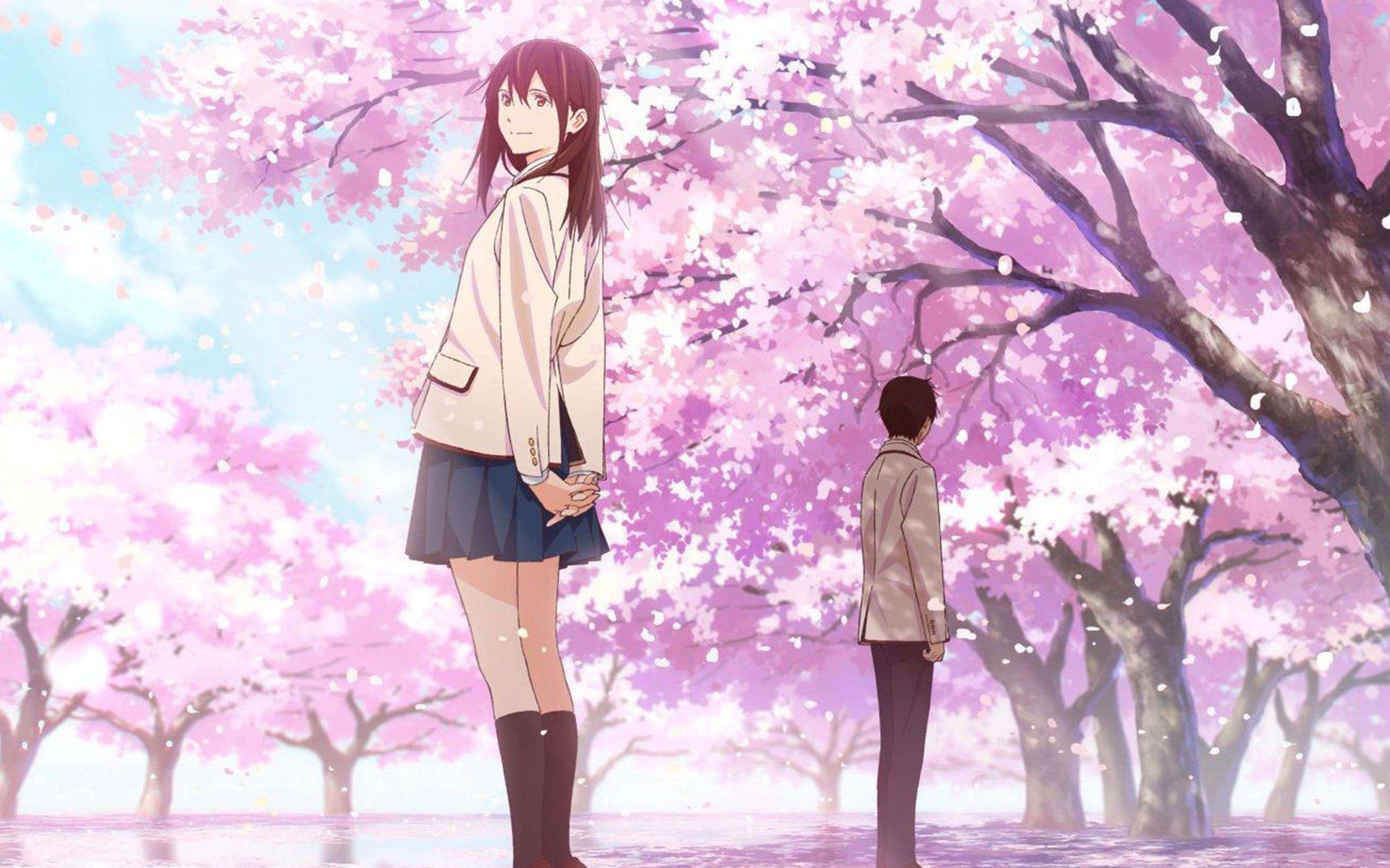 伴奏向一样很好听,樱良春树—春夏秋冬_哔哩哔哩_bilibili