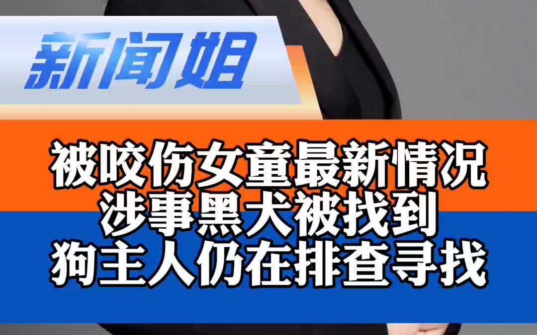 涉事黑犬被找到,狗主人仍在排查;被咬伤女童最新情况如何?郑州二七区严查未拴绳犬只 央媒评女童被咬哔哩哔哩bilibili