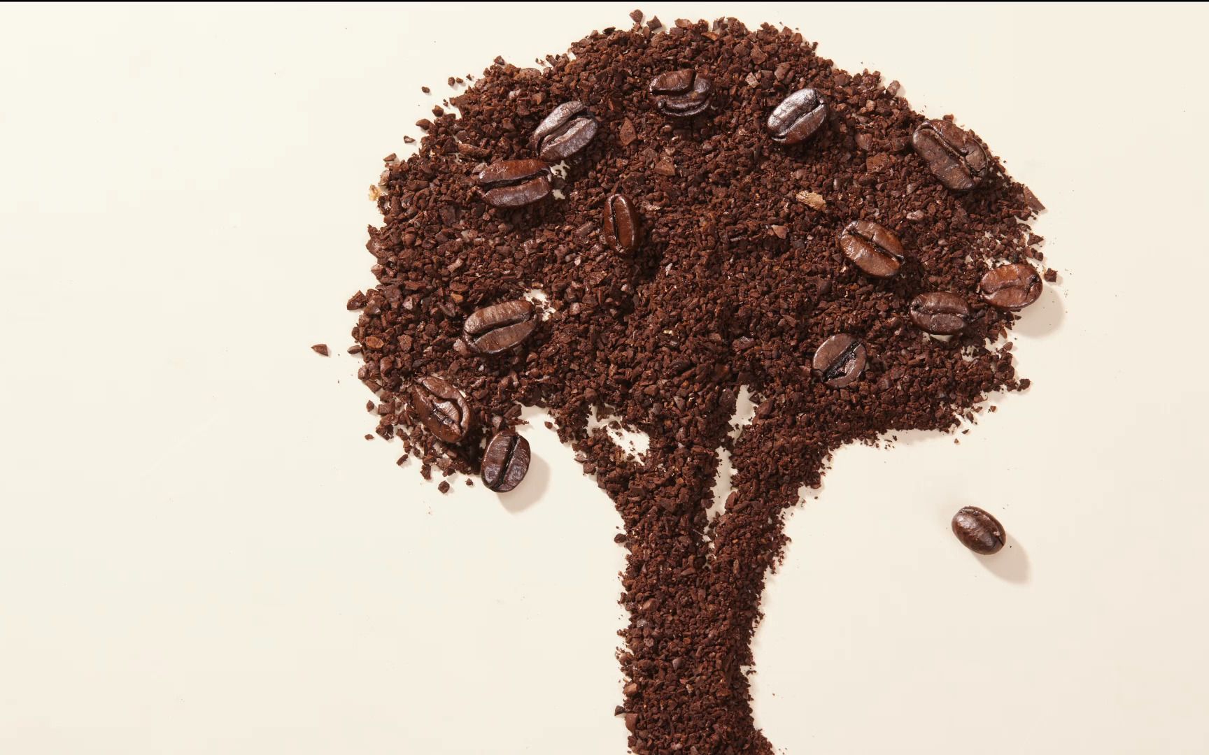 「静物摄影」看商业摄影师如何给咖啡豆拍写真创意图片,让咖啡燃起来