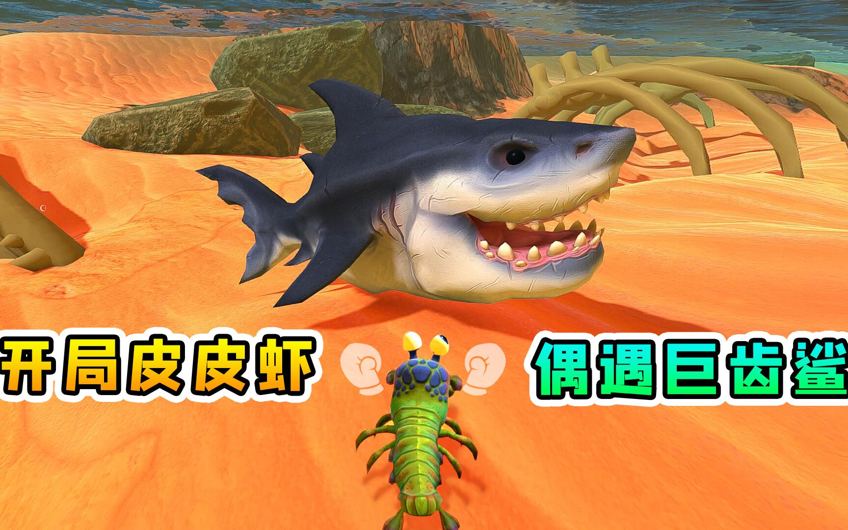 海底大猎杀01:开局一只皮皮虾,进化路上偶遇巨齿鲨