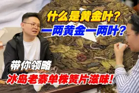 Download Video: 什么是黄金叶？一两黄金一两叶？带你领略冰岛老寨单株簧片滋味！