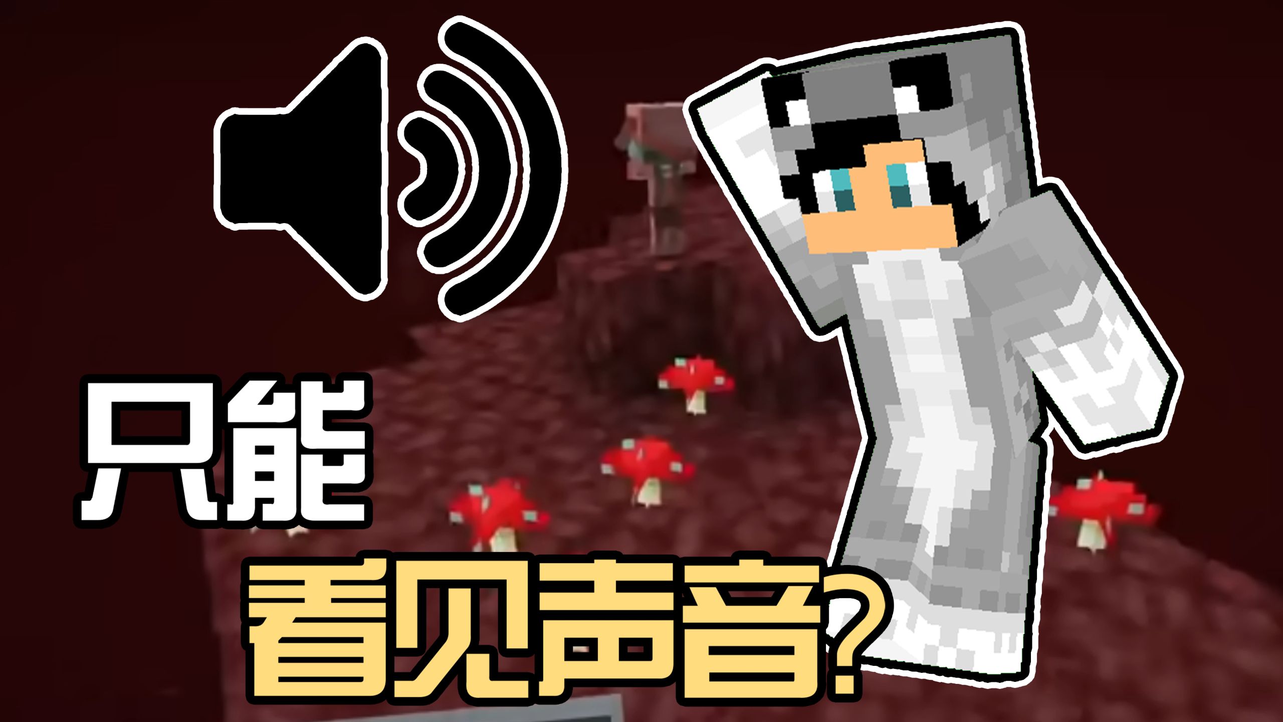 我的世界：当我只能看到声音