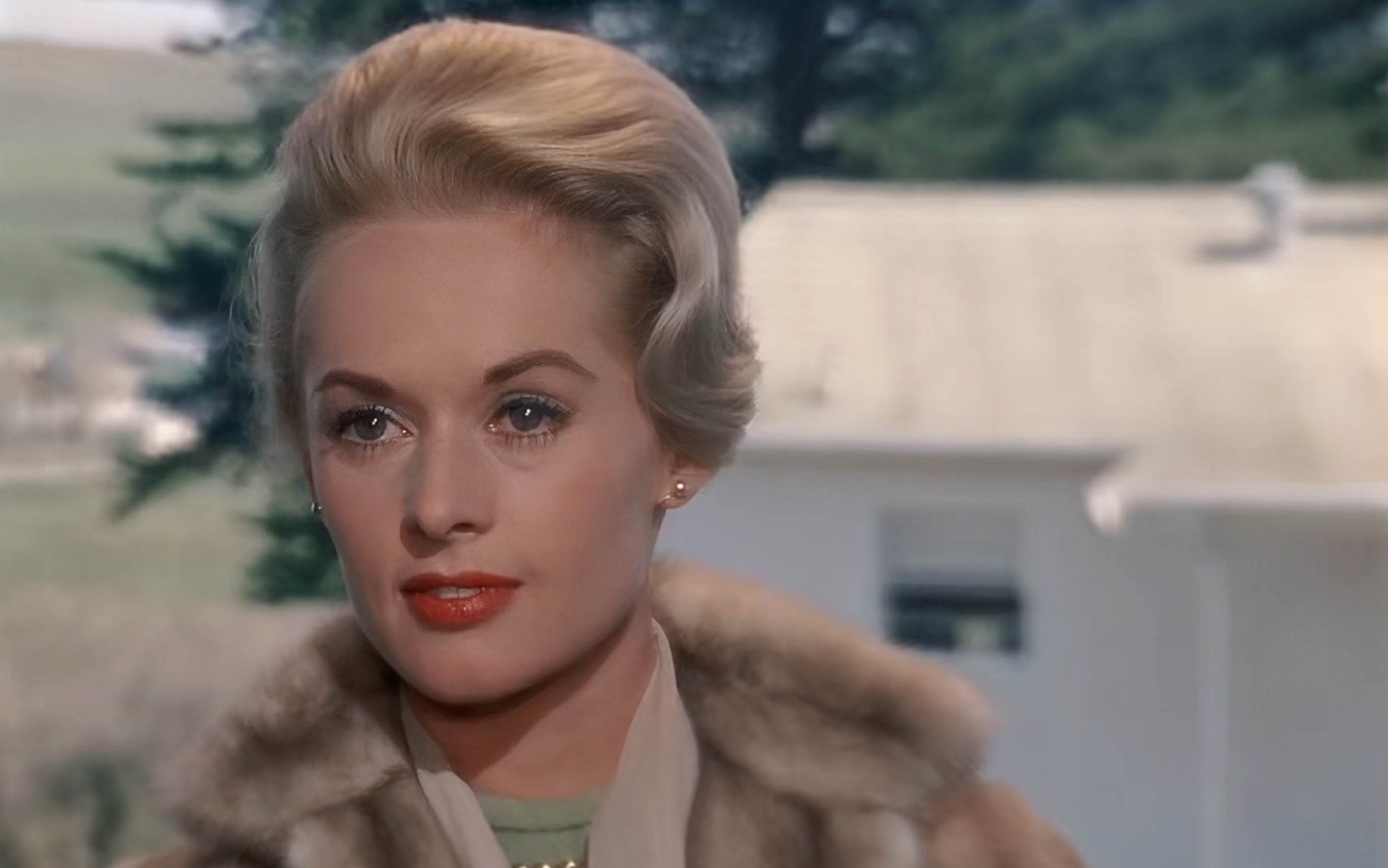 蒂比·海德莉 "美式60s复古优雅"