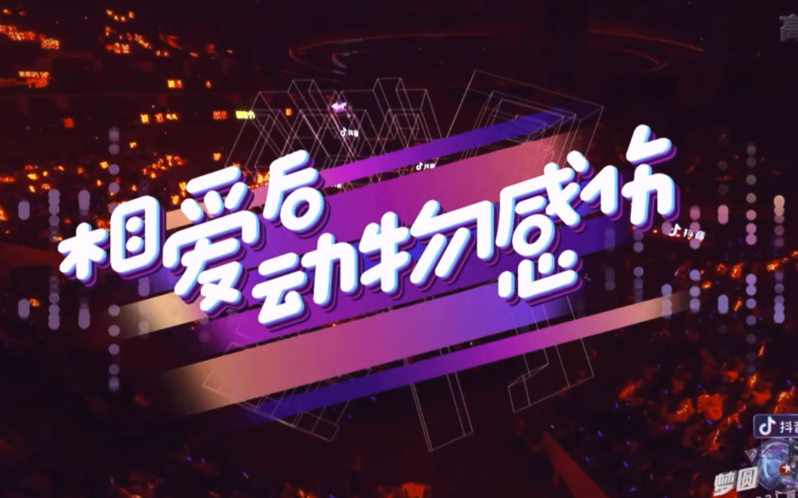 东方卫视2021跨年晚会直播录屏之相爱后动物感伤肖战