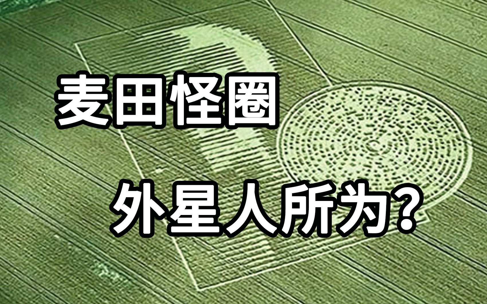 麦田怪圈被破译是外星人发出的警告吗科学无法解释的1