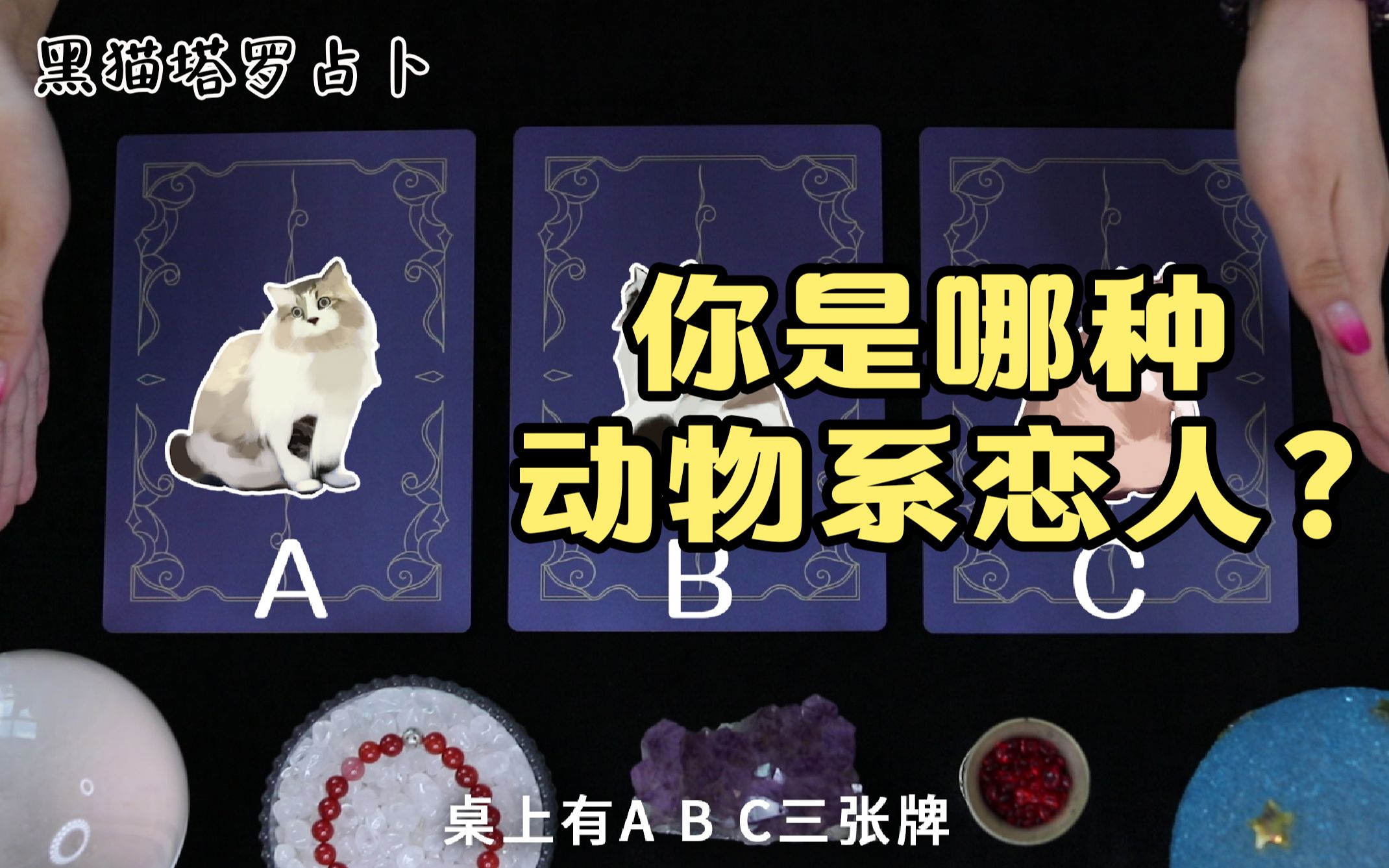 [图]想知道自己是哪种动物恋人吗？猫系？犬系？鹿系？【黑猫塔罗占卜】