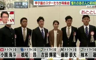 中田一平 搜索结果 哔哩哔哩 Bilibili 中田一平 搜索结果 哔哩哔哩 Bilibili