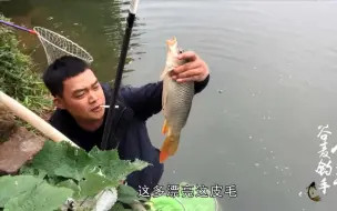 Скачать видео: 几十年没干的水库，小伙用谷麦打窝结果连竿不断，对面大叔看蒙了