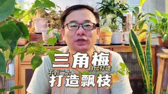 Video herunterladen: 买不起飘枝三角梅，那就自己打造，详细制作过程来了