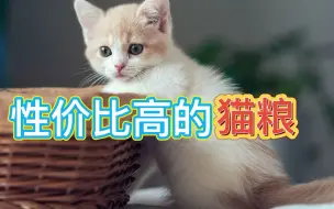 Download Video: 性价比高的猫粮