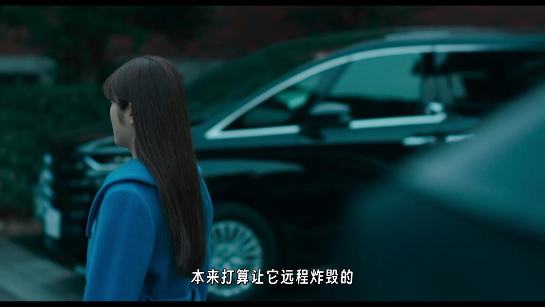 日本电影《M.I.S.S.I.O.N. 歌剧般的潜入搜查官》(2026)喜剧 豆瓣5.6