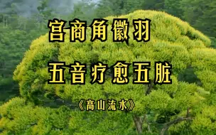 Download Video: 宫商角徵羽 五音疗愈五脏 《高山流水》静心养心 舒心畅气