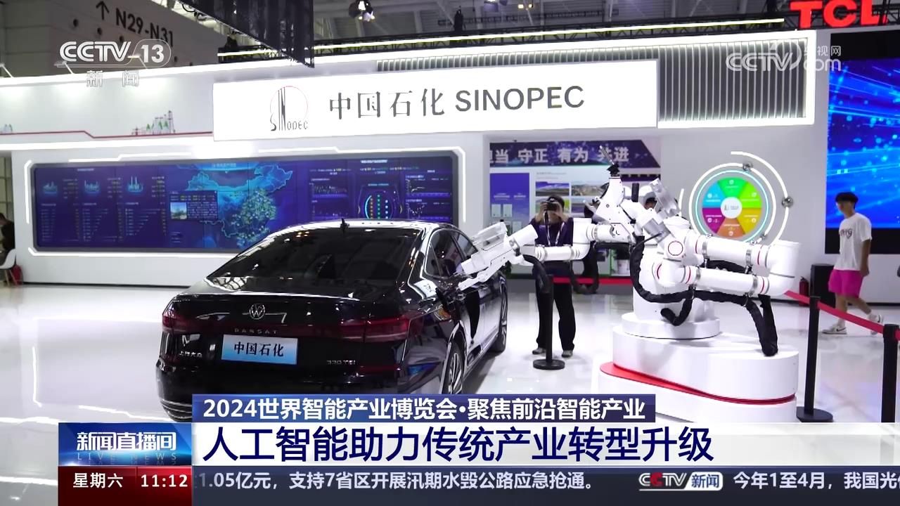 2024世界智能产业博览会 低空经济发展新趋势 人工智能助力传统产业转型升级哔哩哔哩bilibili