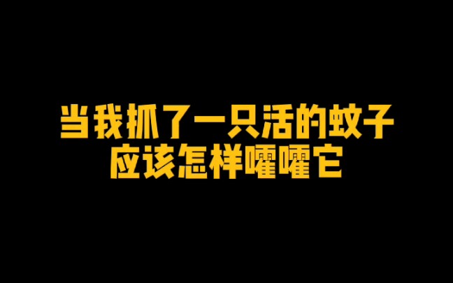 万物皆有灵,蚊子除外
