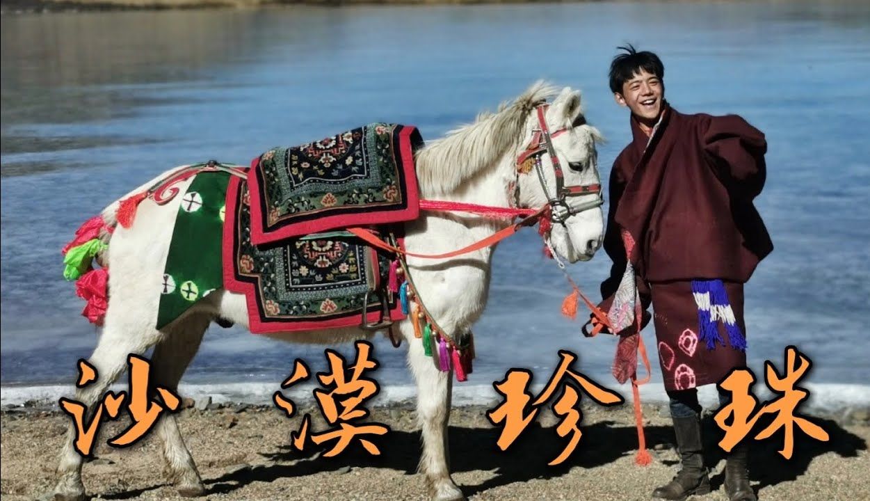 【丁真】理塘金曲《沙漠珍珠》原版