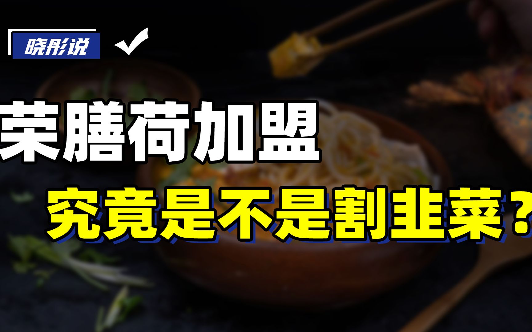 餐饮加盟背后的商业逻辑,荣膳荷加盟是不是割韭菜?哔哩哔哩bilibili