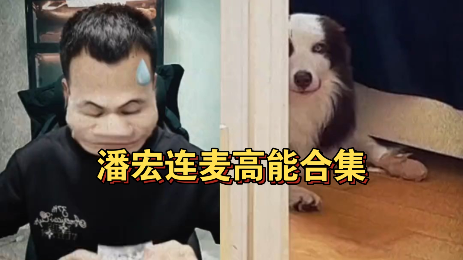 潘宏连麦高能合集,真是笑不活了-潘宏愛玩狗呀-潘宏愛玩狗呀-哔哩哔哩视频