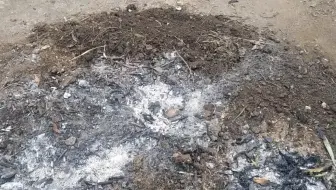 家庭种菜 分享2种安全简单的土壤消毒方法 不用农药 杀虫剂 哔哩哔哩 Bilibili 家庭种菜 分享2种安全简单的土壤消毒方法 不用农药 杀虫剂 哔哩哔哩 Bilibili