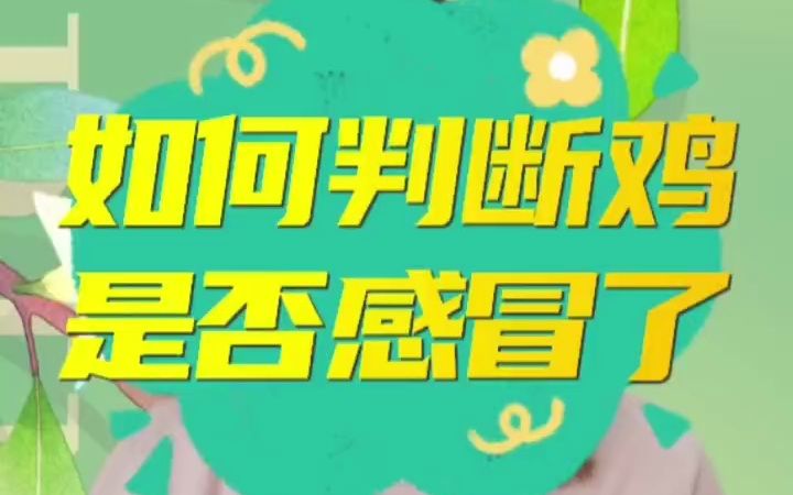 如何判断鸡是否感冒了?怎么知道你的鸡是不是感冒了?怎样才能看出鸡生病了?鸡感冒什么症状?鸡感冒如何诊断?鸡感冒又如何治疗呢?鸡感冒的症状?...