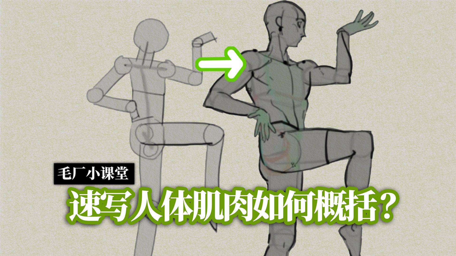 新手也能记住的肌肉概括方法