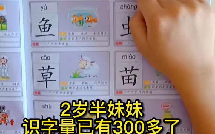 幼儿识字一套识字大全3000字就够了,每天学习一点点再也不抢手机玩了哔哩哔哩bilibili