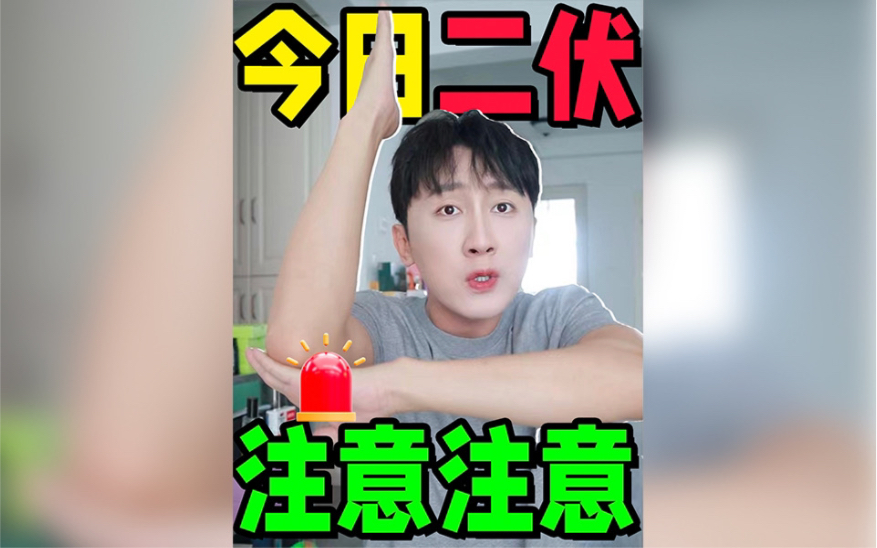 二伏承上启下,总结点干货!哔哩哔哩bilibili