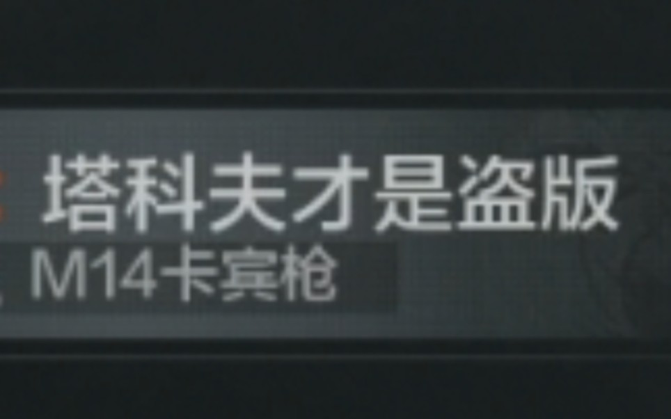 [图]两年半以前的迷你小学生，穿越到2022并说塔科夫是盗版