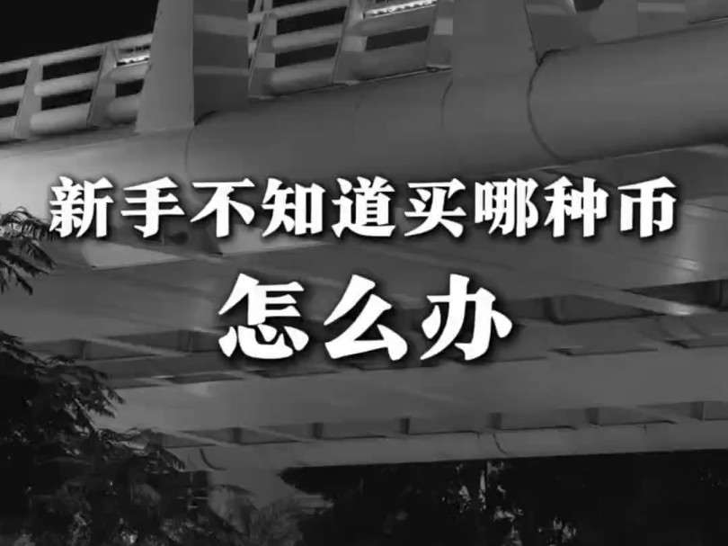 在币圈新手不知道买哪种币该怎么办?比特币会是唯一的选择吗哔哩哔哩bilibili