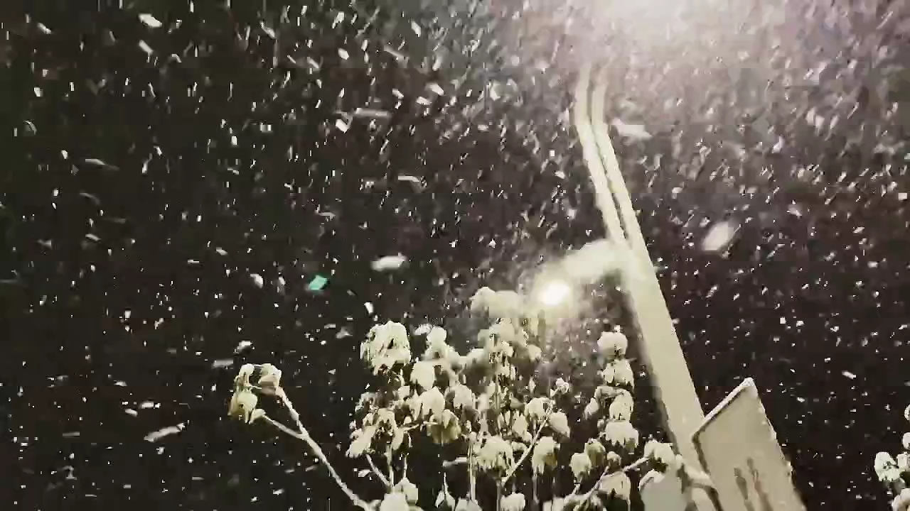 [图]破雪下个没完了