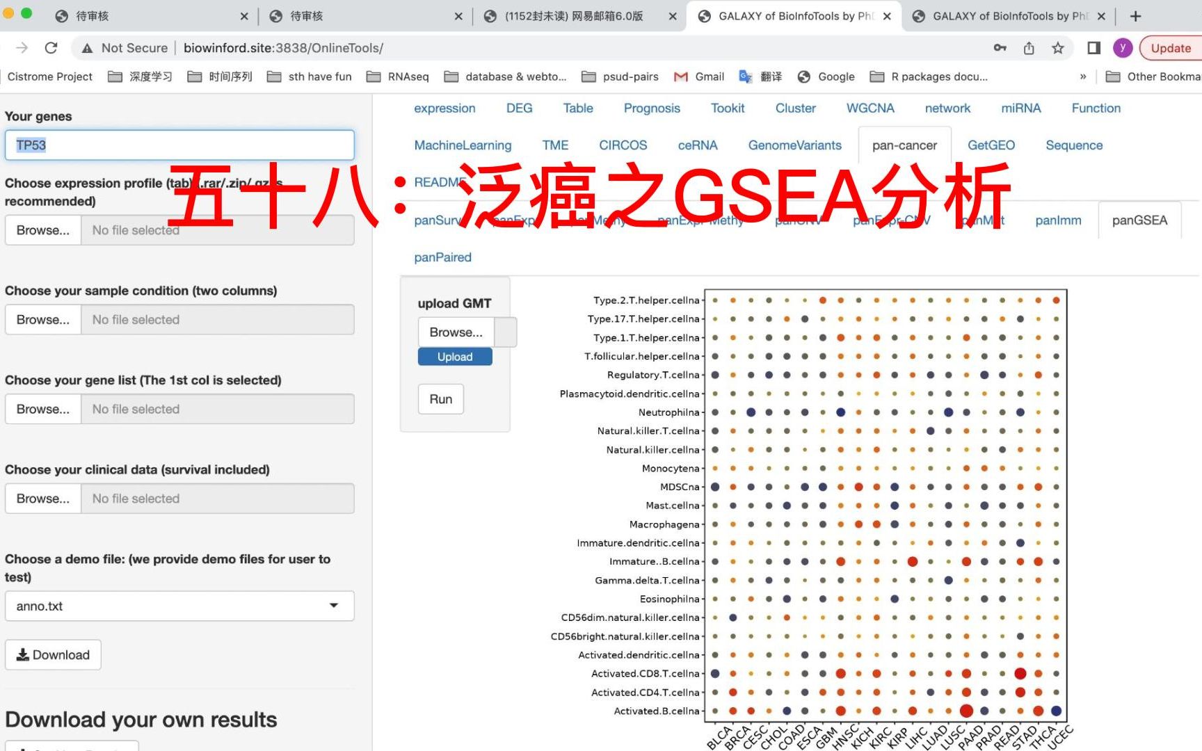 五十九:泛癌之GSEA分析哔哩哔哩bilibili