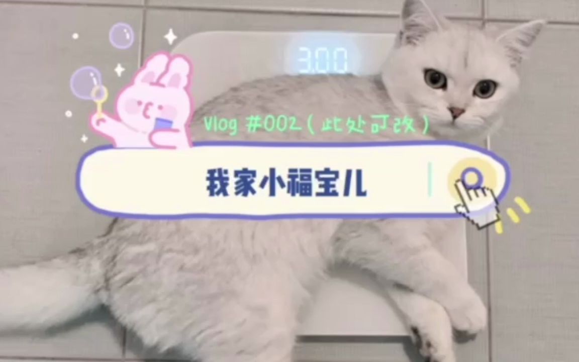 我家小福宝可爱表情包哔哩哔哩bilibili