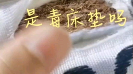 什么样的棕床垫环保,你家的棕床垫有毒吗?哔哩哔哩bilibili